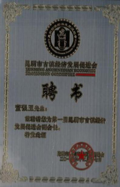 古滇經(jīng)濟發(fā)展促進(jìn)會(huì )副會(huì )長(cháng)單位